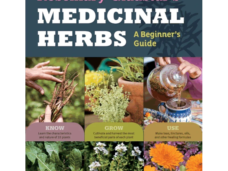 Medicinal Herbs